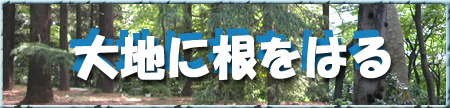nɍ͂