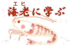CVɊw